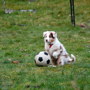 PicsArt 1392835150617