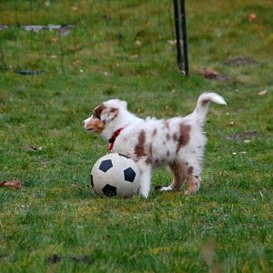 PicsArt 1392834898154