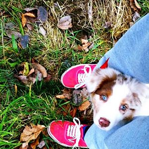 PicsArt 1392724605275