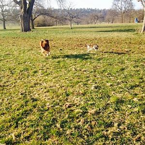 1924446 757020710976924 1965301373 n