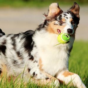 Maja mit Ball
