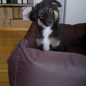 120620121147