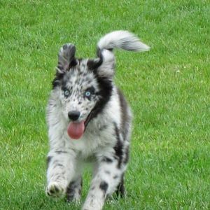 Ich liebe die Öhrchen <3