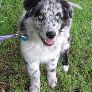 hier schaut er wirklich toll