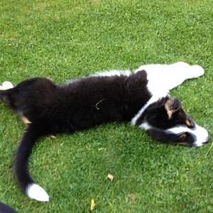 Muß mich mal Strecken