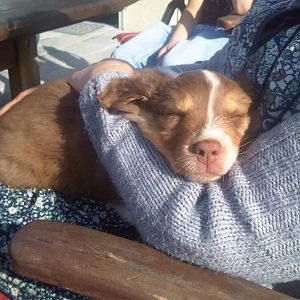 IMG00653 20120610 1745