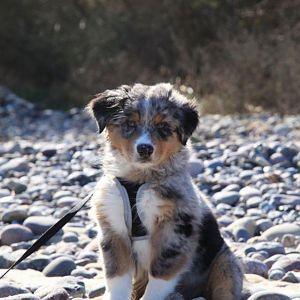 Yankee - Ostseeurlaub 2012