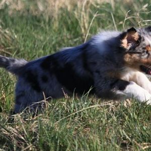 Yankee - Ostseeurlaub 2012