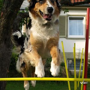 Milow (3)http://www.aussie.de/forum/album.php?albumid=316&attachmentid=5710