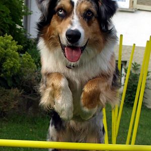 Milow (2)http://www.aussie.de/forum/album.php?albumid=316&attachmentid=5711