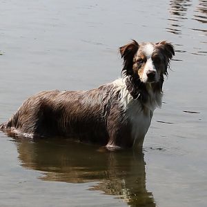 Urlaub 2012 Stove 025