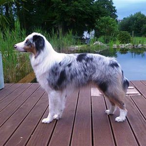 ...endlich steht sie still....