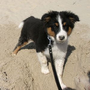 auf Langeoog am Strand beim buddeln