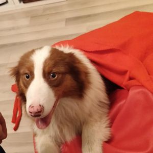 Am ersten Tag im neuen zu Hause