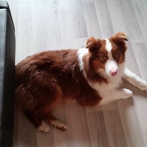 Am ersten Tag im neuen zu Hause