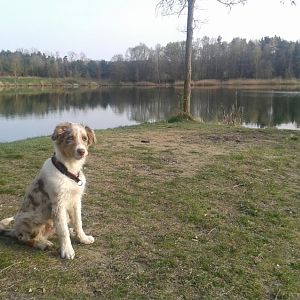 Am Baggersee