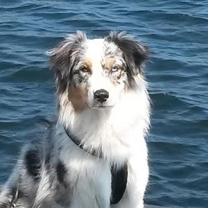 20140426 125604http://www.aussie.de/forum/album.php?albumid=898&attachmentid=51789