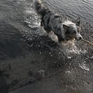 20140226 092334http://www.aussie.de/forum/album.php?albumid=898&attachmentid=51791