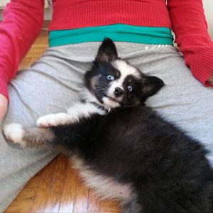 1512396 774872425864417 926470308182959280 n