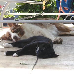 Couraline & Millie Mae