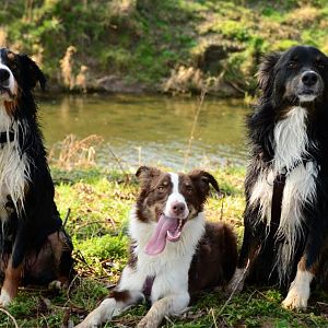 Balu, die Schwester von Balu und Johnny