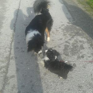 Filou mit einer unbekannten Dame! :-P