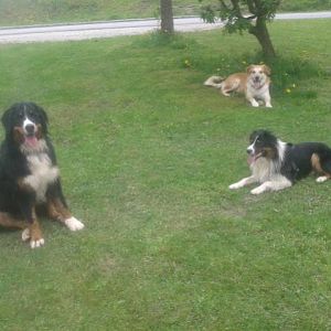 Filou Cäspa und Jessy