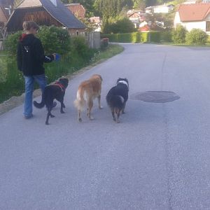 Filou Aron und Cäspa