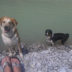 Filou und sein bester Freund... natürlich Cäspa