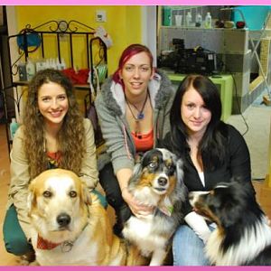 Gruppenfoto bei den Dreharbeiten - Hundesalon Pfotenoase Petzenkirchen - Julia Hollaus stellt ihren Betrieb bei Servus TV vor.
u.a. Wollspinnerei aus