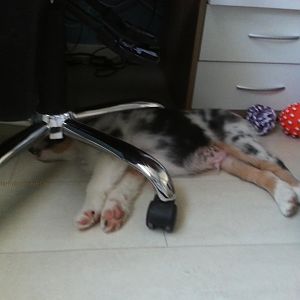 Messenger 5880383443912899946 14019926654144089