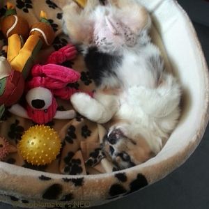 Snapchat 20140606035101