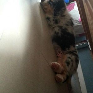 Snapchat 20140605054636