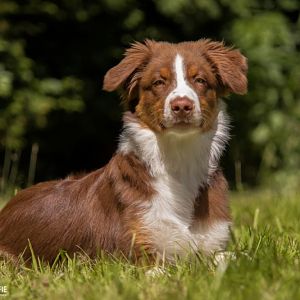 Mmmh, hier riecht es gut!