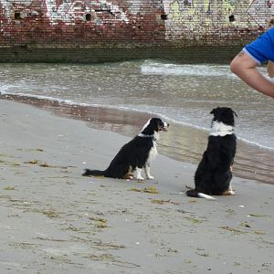 P1000645http://www.aussie.de/forum/album.php?albumid=938&attachmentid=55428