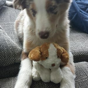 er hat meinen Stoffhund gefunden ^^