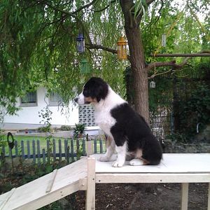 Foto0217