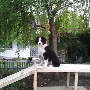 Foto0214