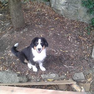 Foto0211