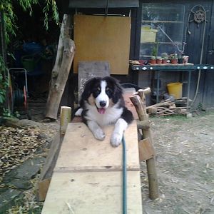 Foto0208