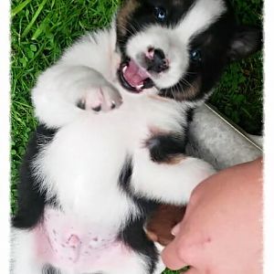 Unser Coopi. Bald darf er endlich einziehen.. :):)