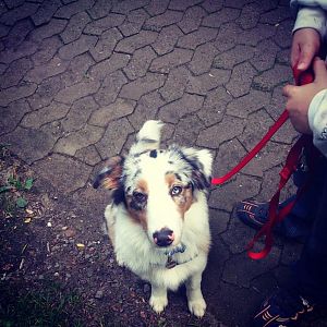 1185559 528264747243133 435393751 n