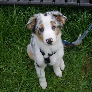 971055 528644663871808 1135208704 n