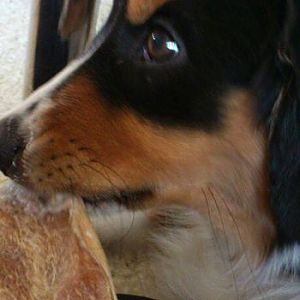 10460180 10202721878827786 4262731440571501100 n