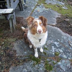 Cara mal still fuers foto