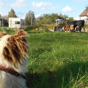 immer alles im Blick