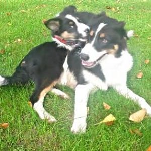 Mit seinem neuen Freund :)