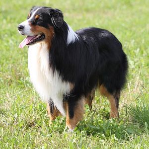 IMG 2433 zugeschnitten