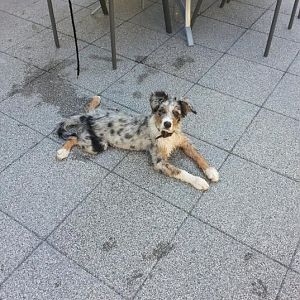 10526015 513153212161404 3521401604654241901 n