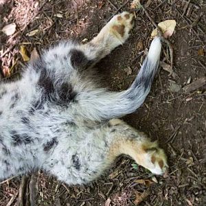 10409124 495521007257958 1728776742846549578 n